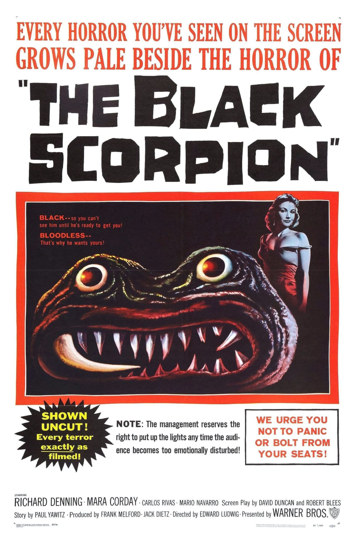 The Black Scorpion - Filmkritik