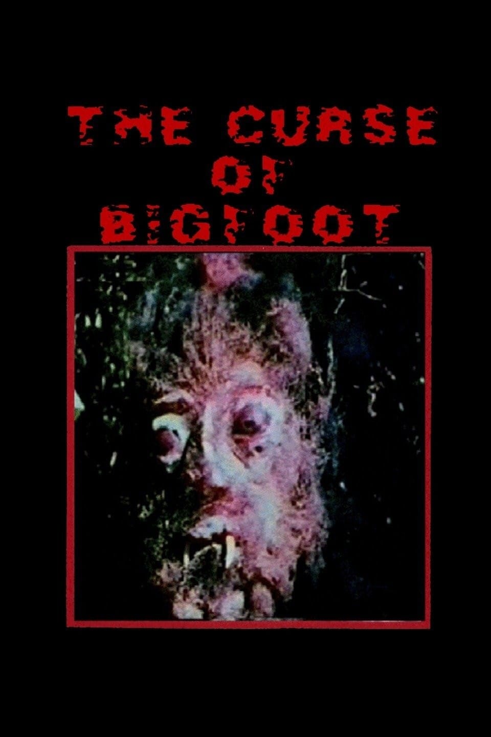 Curse of Bigfoot – Film Review