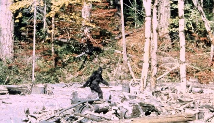 Der Bigfoot-Film